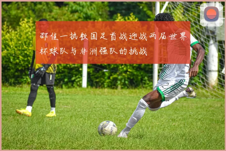 邵佳一执教国足首战迎战两届世界杯球队与非洲强队的挑战